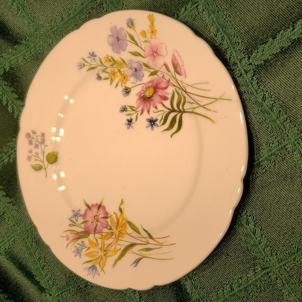 Enchanting SHELLEY DESSERT PLATE "Wild Flowers" #13668 euc